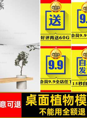 树简模型建模盆景C4D绿植植物盆栽贴图3Dfbx风花盆max