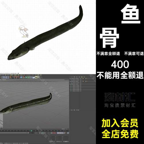 鲈鱼骨骼海豚绑定FBX鳗鱼动画三维3DC4D模型鱼带动画三维模型海洋