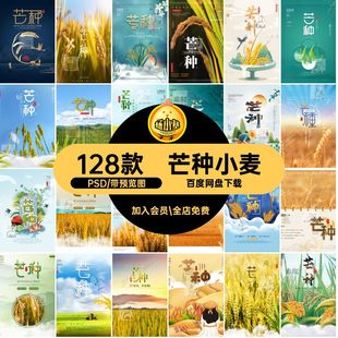 128款二十四节气芒种风景PSD麦地模板传统中国24丰收小麦海报24