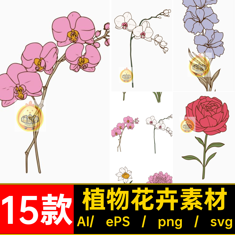 15朵优雅精美手绘花朵花卉植物AI矢量插画插图png免扣图片素材svg