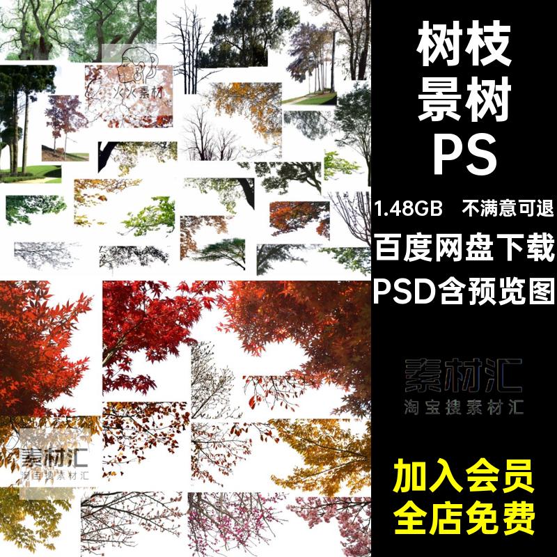 园林景树PSDps后期挂角树前景树乔木免抠效果图植物景观建筑树枝