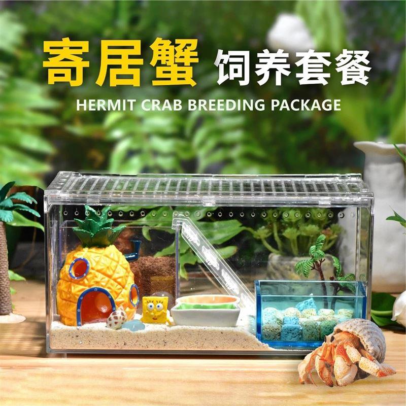 寄居蟹饲养套餐套装儿童宠物海星海洋桌面鱼缸宿舍造景diy简易