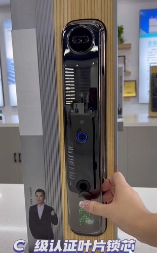 萨莱明R36D人脸识别智能锁入户门指纹锁防盗门密码锁电子锁防盗锁