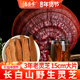 长白山野生灵芝片 500g切片正品 紫赤灵芝孢子粉养生茶泡水酒整朵