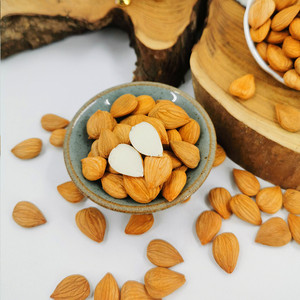 敦煌特产李广杏仁大甜杏仁原味大甜李广杏生杏仁露原料办公室零食