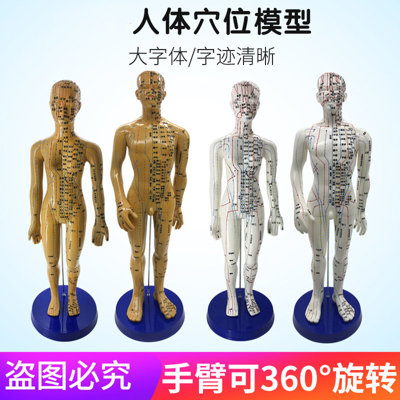 针灸穴位人体模型可针扎经络小铜人 中医用人体穴位模型男女高清|msdalam kategori ubat-ubatan OTC/Peralatan perubatan/Bekalan Perancangan Keluarga, Peralatan perubatan, instrumen akupunktur (instrumen) - dari Buy2taobao.com untuk memberikan perkhidmatan ejen Taobao profesional membeli