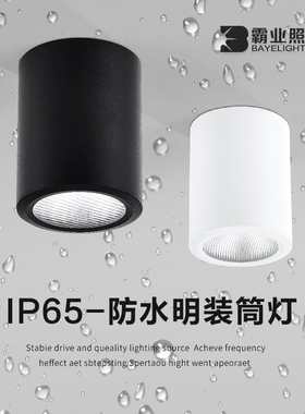 防水明装筒灯户外室外阳台店铺门头酒店雨棚露台吸顶射灯IP65防潮