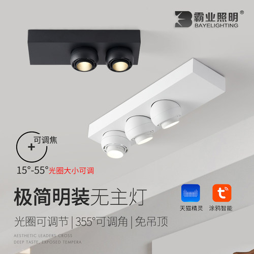 明装射灯摇头调焦可调角度全光谱