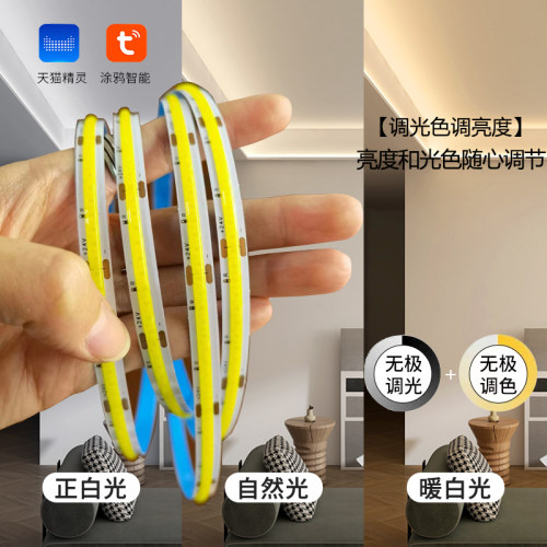 低压12V/24V智能灯带涂鸦Zigbee