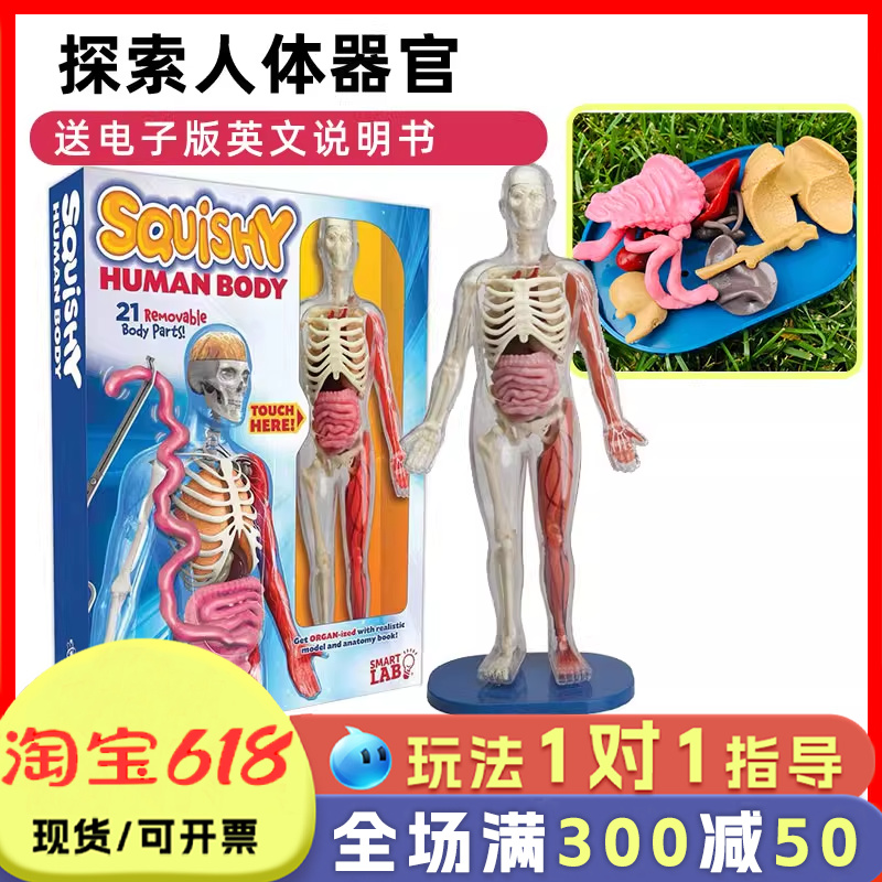 smartlab人体解剖模型