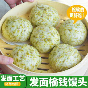 2026当季榆钱馒头发面新鲜花卷余钱野菜包子方便速食早餐半成品蒸