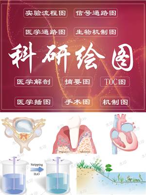 科研绘图素材代画sci医学作用机制图绘制科学作图手绘ai科研绘图