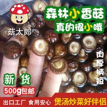 菇太郎小香菇干货特小香菇500g新货金钱菇迷你冬菇珍珠菇香菇批发