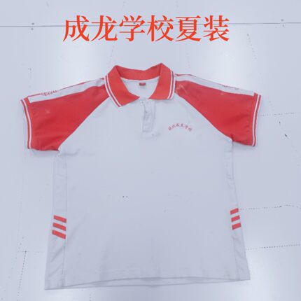 河北张家口成龙学校纯棉夏装高品质高弹红白拼色短袖河北校服