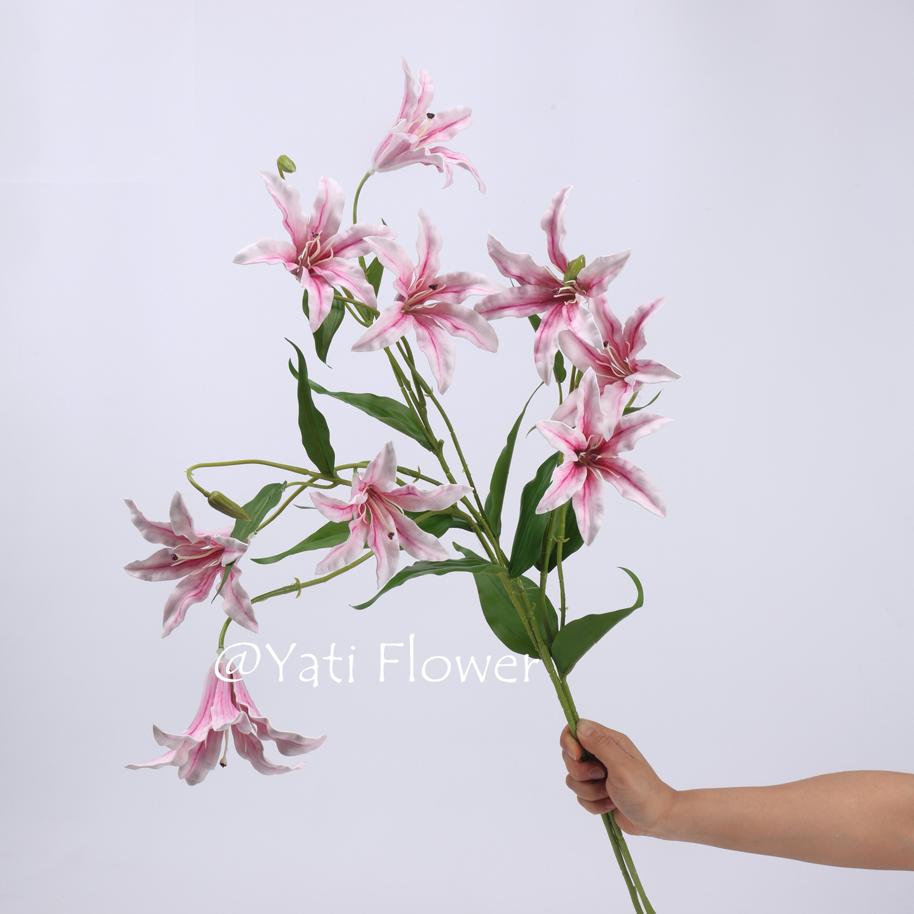 3头火焰兰火焰百合仿真花千鸟兰 家居美陈花艺插画婚庆摄影道具