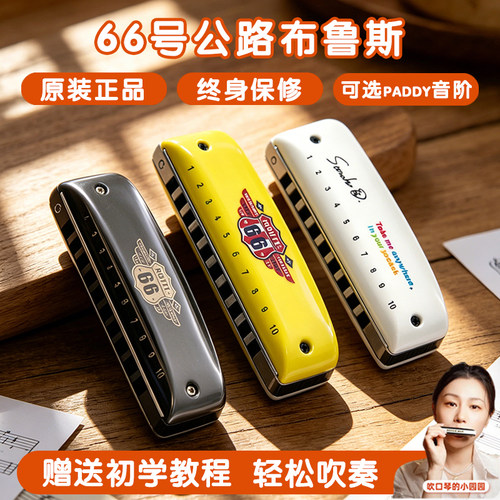 园园同款布鲁斯蓝调十孔口琴