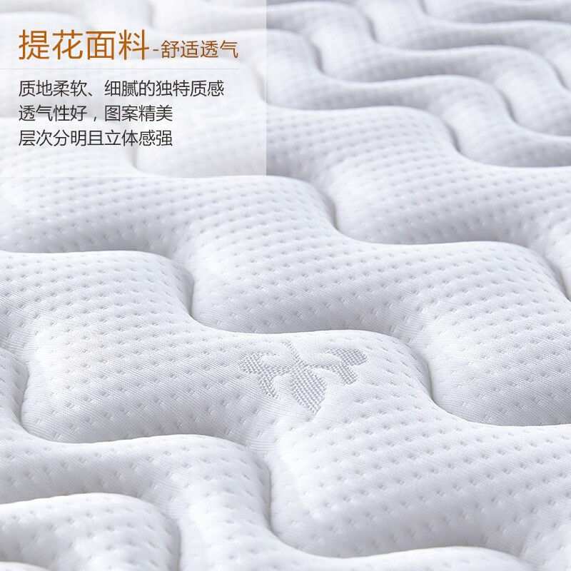 景彩椰棕床垫硬棕垫双人床垫折叠床垫子3E椰棕内芯床垫子JC309厚6