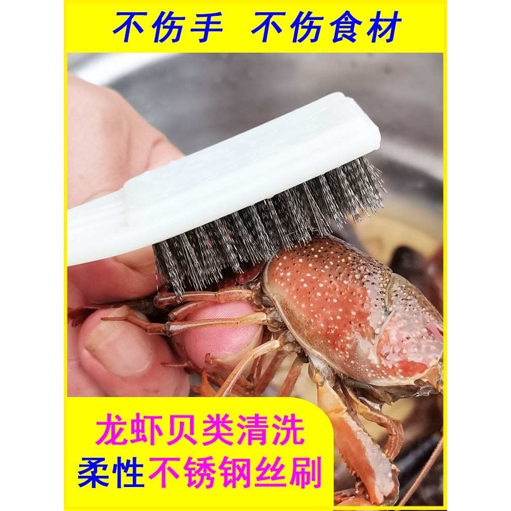 洗小龙虾神器洗生蚝鲍鱼螃蟹贝类清洗刷不锈钢丝刷子强力清洁海鲜