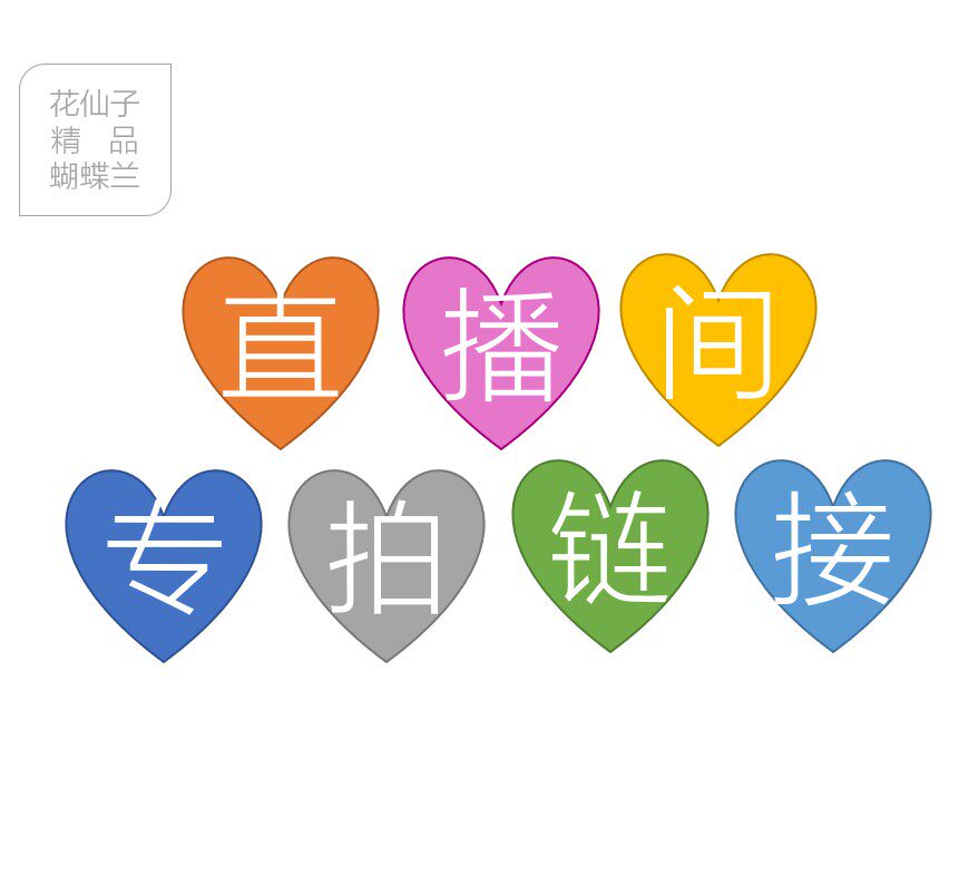 花仙子蝴蝶兰直播专用链接开花株对版好养花卉兰花