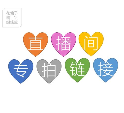 花仙子蝴蝶兰客厅办公室四季开花