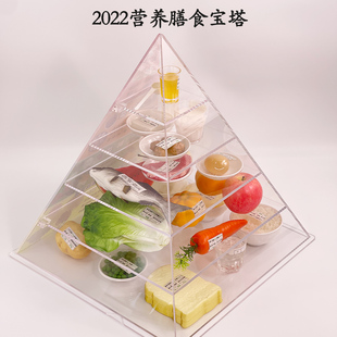 2022版 膳食宝塔中国居民膳食平衡宝塔食物膳食金字塔营养食物模型