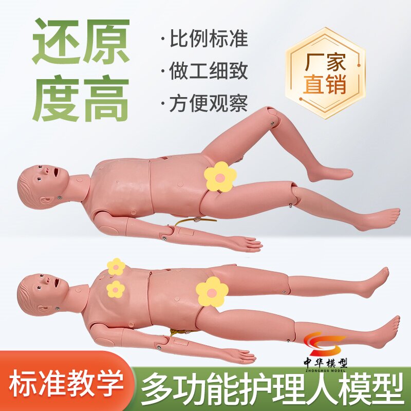 蓝蝶模型多功能护理人训练教学