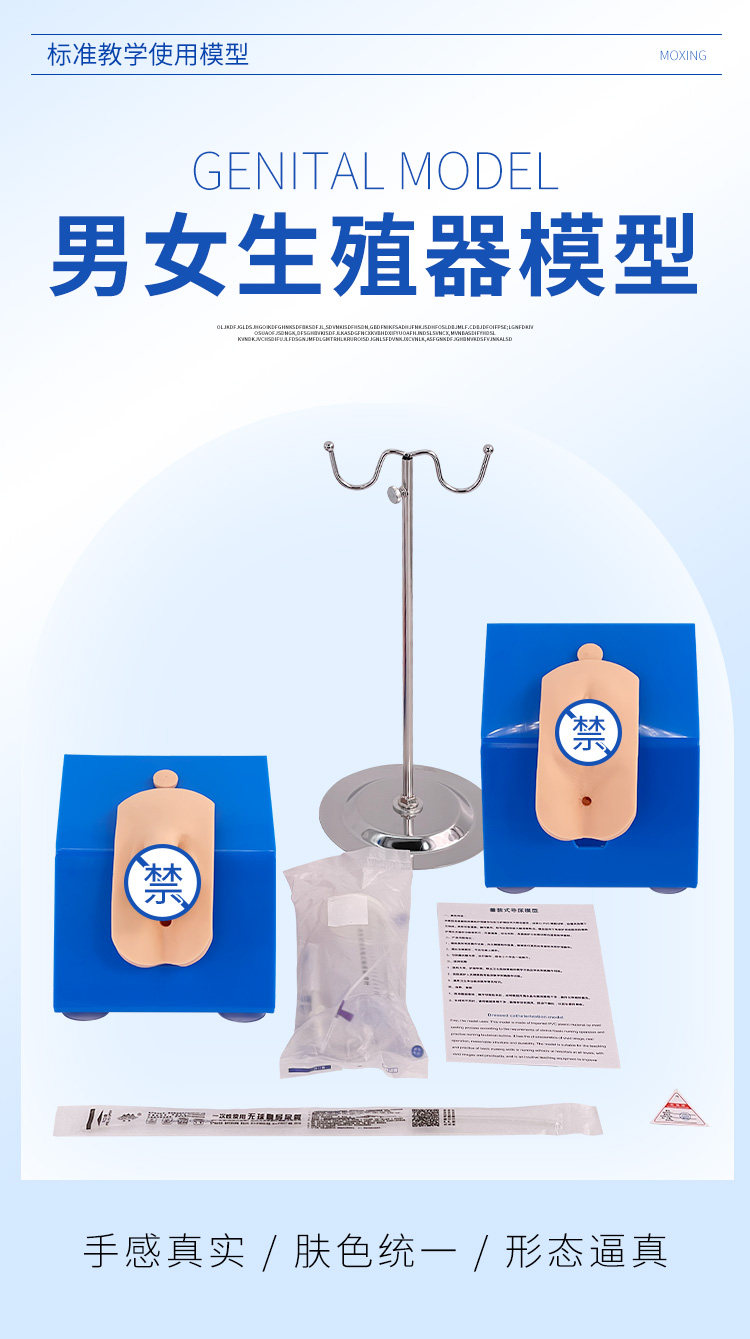 生殖器导尿模型中华教学