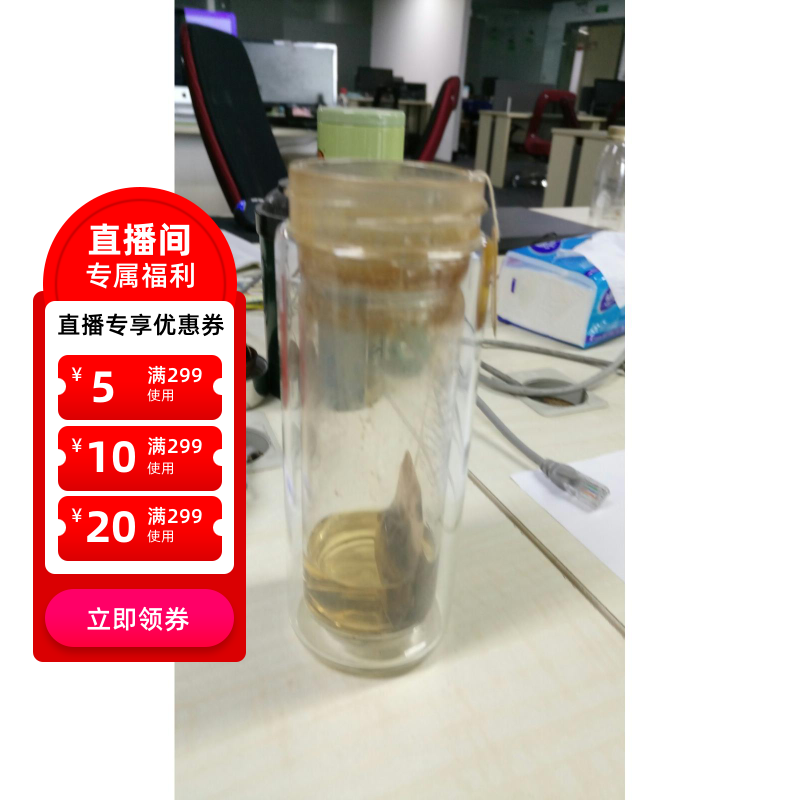 、富光双层家用带盖玻璃杯男女学生水杯便携泡茶杯过滤杯2211111