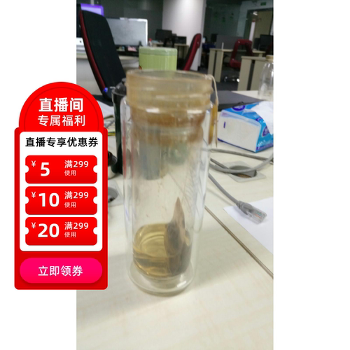 、富光双层家用带盖玻璃杯男女学生水杯便携泡茶杯过滤杯2211111