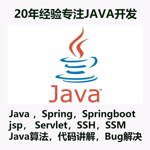 Java网站Springboot,jsp, Servlet,SSH,算法SSM代码讲解,bug解决