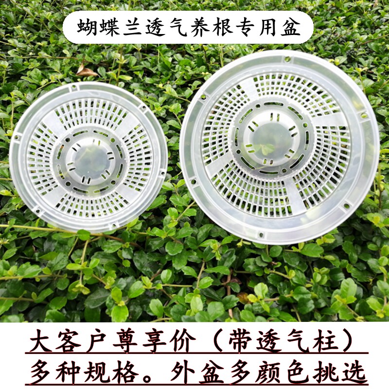 大客户控养塑料透气卡特兰花草图片