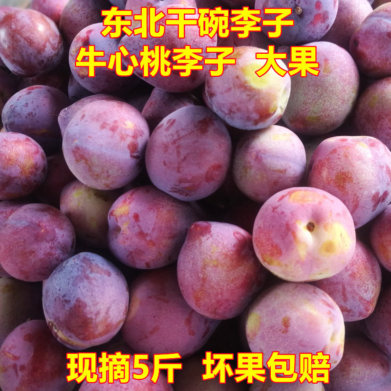东北桃李子牛心李鸡心吉盛胜干碗