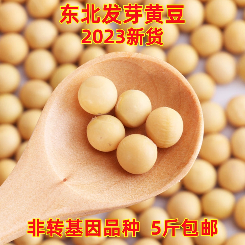 2023新货东北黄豆吉林农家自种生豆芽打豆浆非转基因大豆5斤包邮