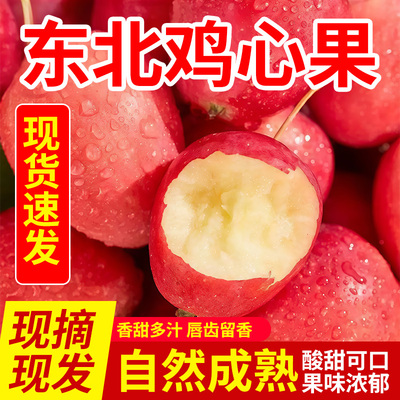 东北鸡心果新鲜沙果脆甜糖心小苹果香妃香槟果农家直销锦绣海棠果
