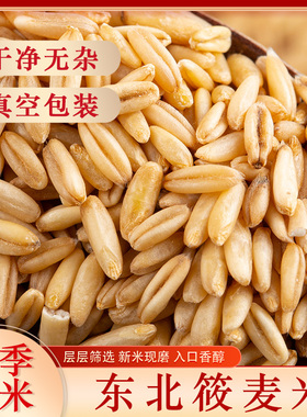 2025新货燕麦米莜麦油麦玉麦燕新米麦仁野麦雀麦胚芽燕麦粒真空装