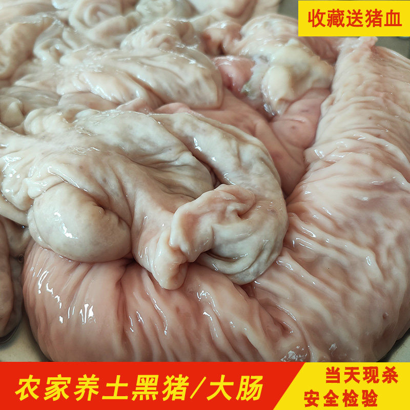 大别山黑山猪肉新鲜猪大肠猪内脏猪大肥肠大肠头生猪肠2000g