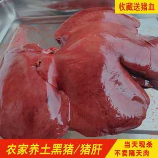 新鲜猪肝现杀土黑猪内脏生鲜猪肝农家散养黑猪土猪猪肝1000g