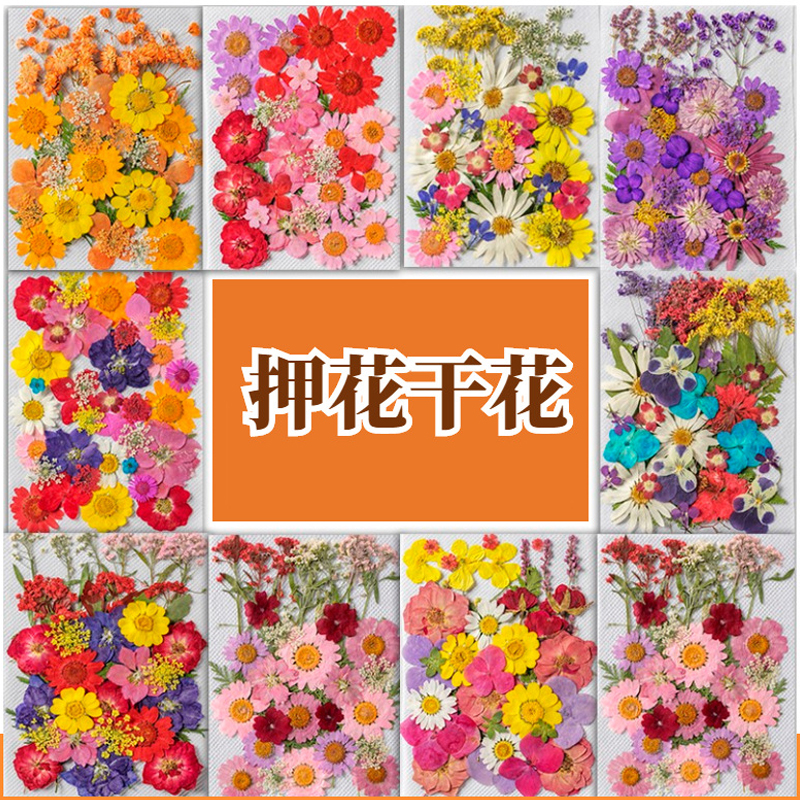 真花押花手工材料包简约粉色贴脸装饰花眼角贴妆新娘妆 diy干花包,家居饰品,相框/画框,淘宝优惠券,粉丝福利购,淘宝优惠卷