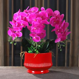 花盆陶瓷特大号简约亚光北欧风格 清仓 客厅家用蝴蝶兰绿萝花盆特价