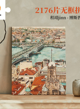 3D-JP城市建筑无框拼图2176片客厅装饰画 程靖博斯普鲁斯HN1418