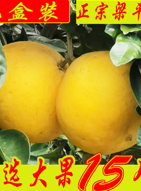 重庆梁平柚子产地直销当季新鲜水果15斤礼盒装农家特产大果白心柚