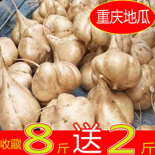 凉薯新鲜蔬菜包邮10斤现挖沙葛四川豆薯重庆当季农家菜现挖白地瓜