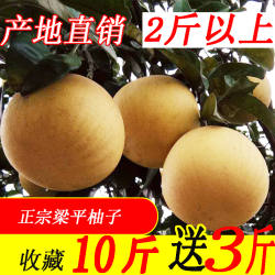 梁平柚子新鲜水果重庆农家孕妇当季四川现摘现发平顶白心梁平柚
