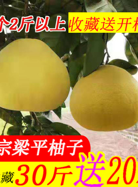 梁平柚子新鲜水果50斤包邮现货白心新鲜柚子买很多重庆平顶梁山柚