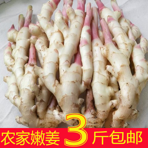 生姜嫩姜新鲜蔬菜包邮重庆农家自种当季嫩姜芽四川时令小黄姜