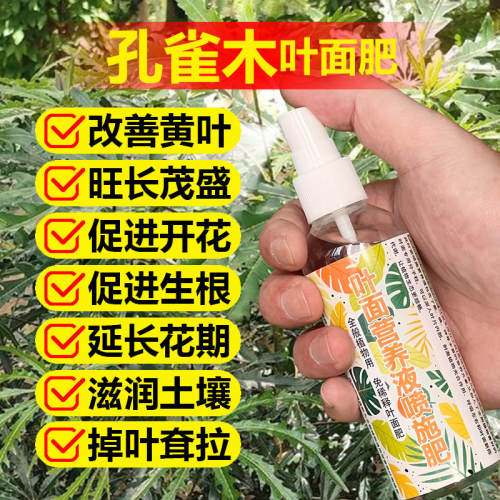 孔雀木专用肥料绿植盆栽小苗土壤复合花肥营养液叶面肥水溶化肥料