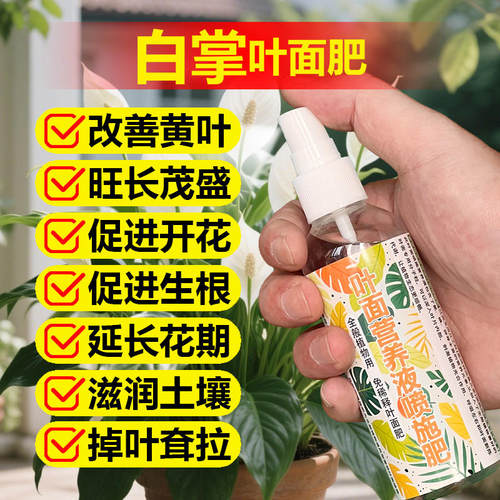 白掌专用肥料盆栽绿植物一帆风顺水培花肥营养液叶面肥水溶化肥料