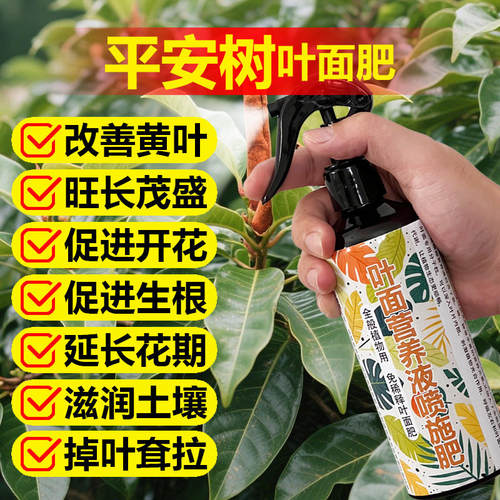 平安树专用肥料树苗种植盆栽养殖土壤绿植营养液叶面肥水溶化肥料