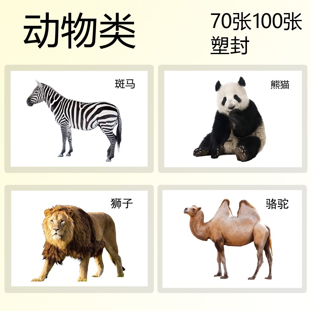 动物类儿童认知有图名词aba闪卡