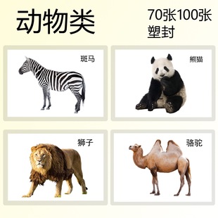 动物类学龄前闪卡儿童认知自闭症有图识字名词卡ABA训练卡片早教